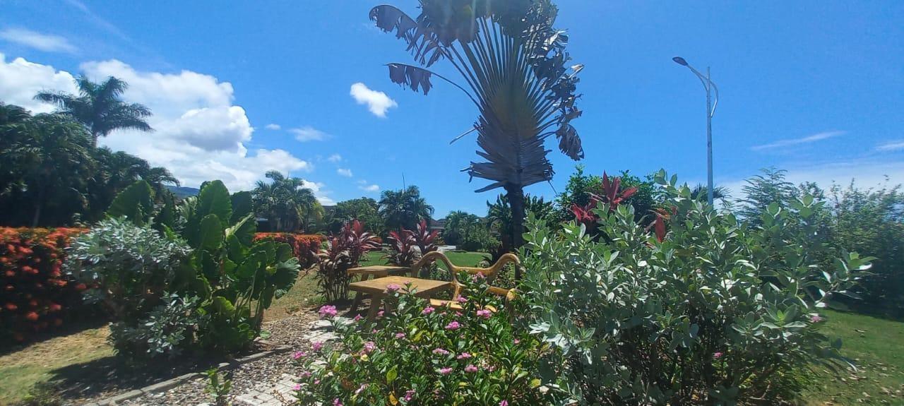 Luxury-3-Bedroom-House-for-Rent-at-Palms-at-Richmond-St.-Ann-Jamaica Eighteenth image of 28 Hibiscus Drive, Richmond in Richmond, St. Ann, Jamaica - property is For Rent