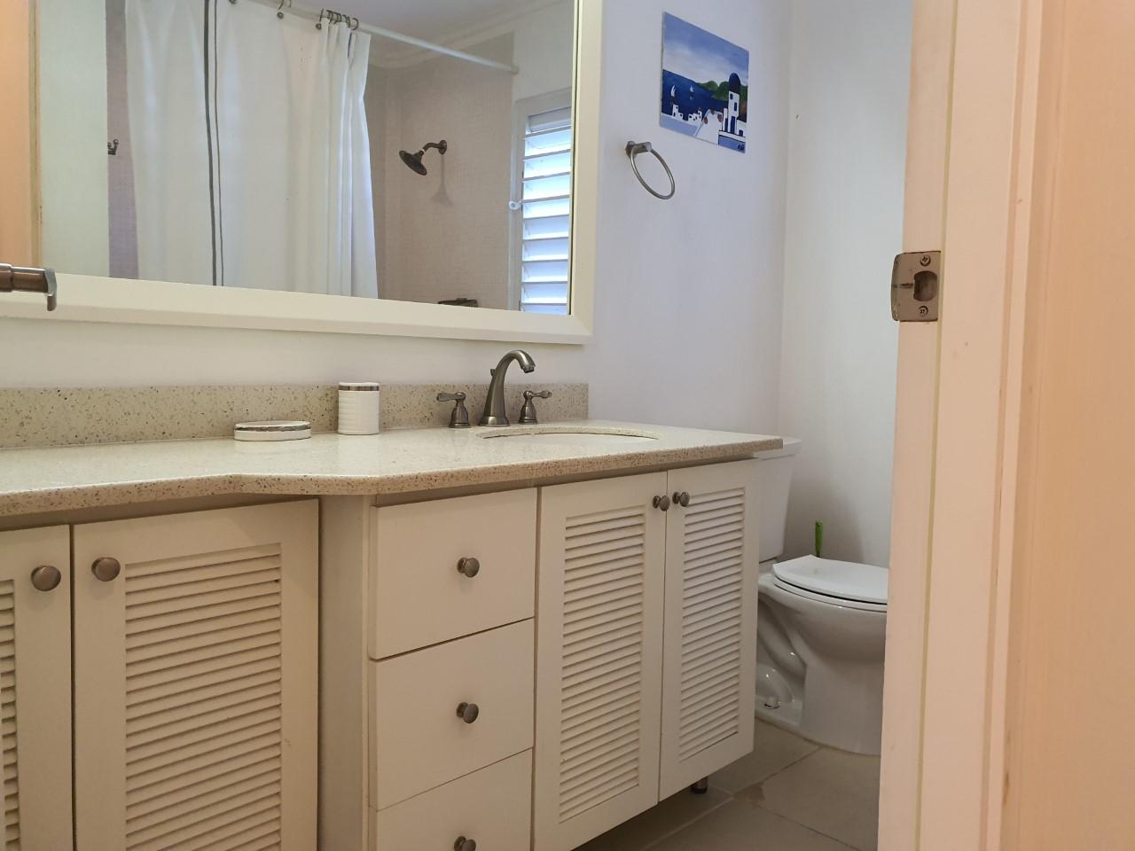 Fourteenth image of 46 Anthurium Ave in Laughlands, St. Ann, Jamaica - property is For Rent