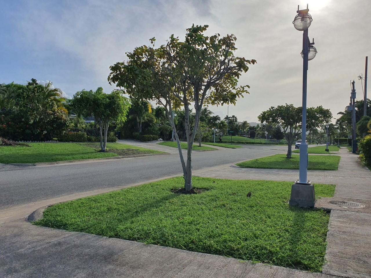 Nineteenth image of 46 Anthurium Ave in Laughlands, St. Ann, Jamaica - property is For Rent