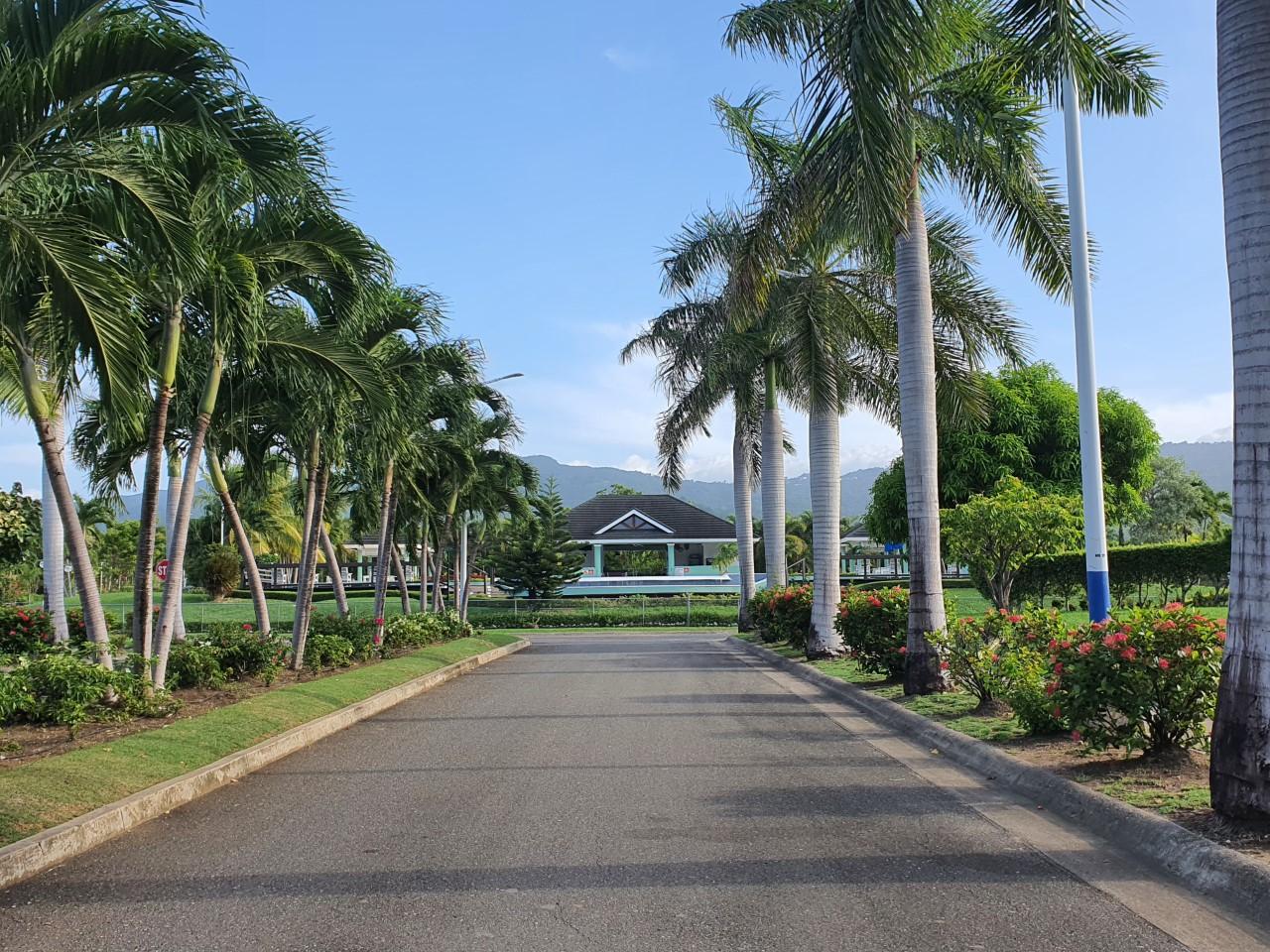 Twenty-Eighth image of 46 Anthurium Ave in Laughlands, St. Ann, Jamaica - property is For Rent