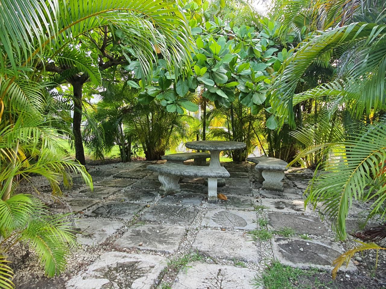 Twenty-Ninth image of 46 Anthurium Ave in Laughlands, St. Ann, Jamaica - property is For Rent