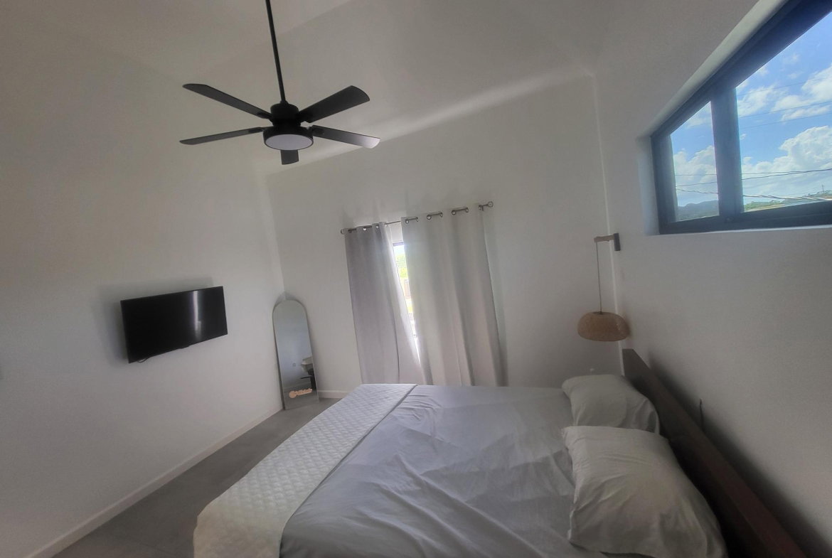 Sixteenth image of 451 Winchester Estate, Cave v in Cave Valley, Hanover, Jamaica - property is For Sale