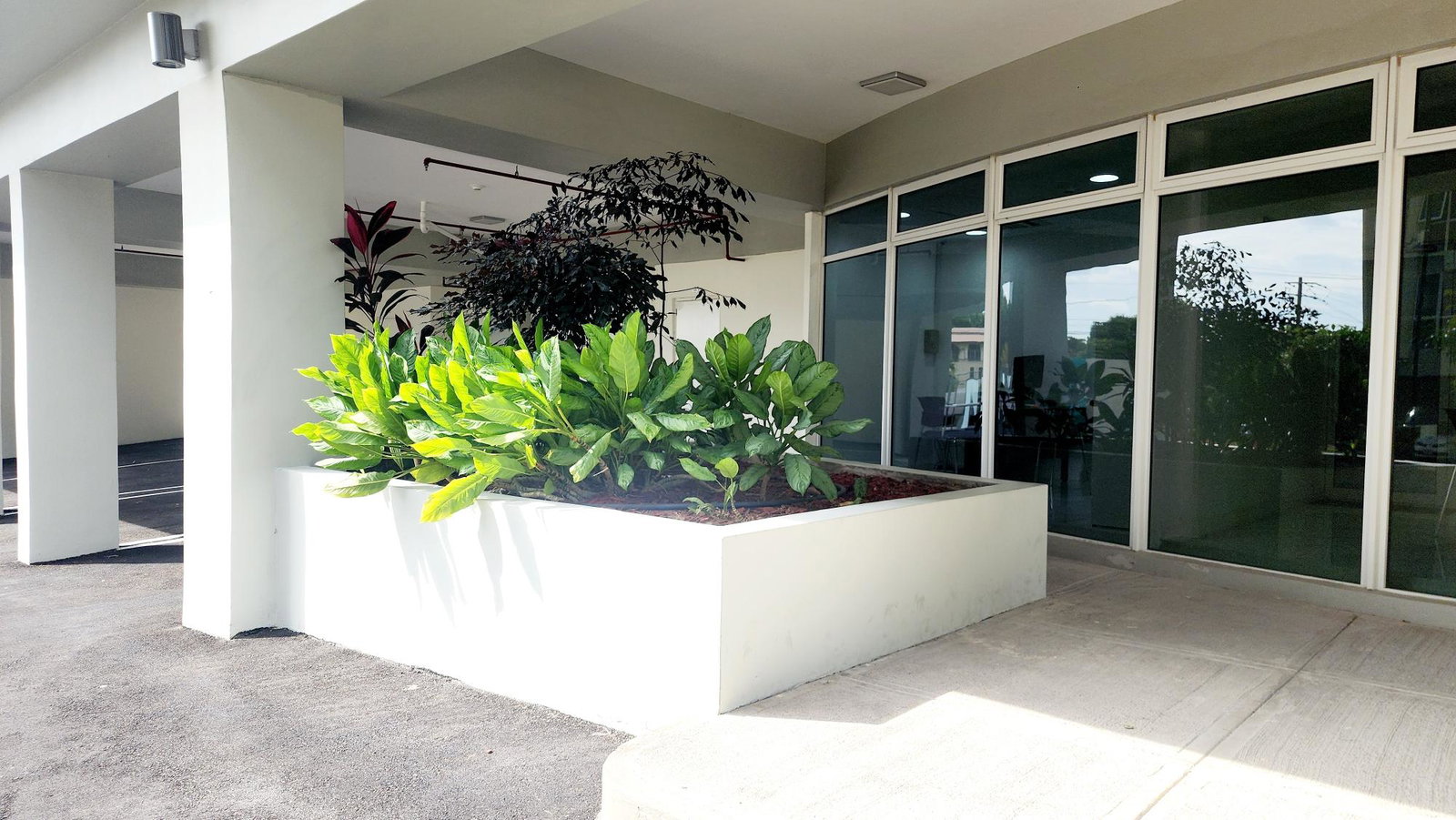 Modern-1BR-Apartment-for-Rent-in-Kingston-10-St.-Andrew-Luxury-Living Third image of A206-4 Musgrave Ave, Kingston 10 in Kingston 10, St. Andrew, Jamaica - property is For Rent