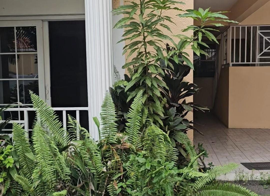 First image of 1-15 Sullivan Avenue in Kingston 8, St. Andrew, Jamaica - property is For Rent