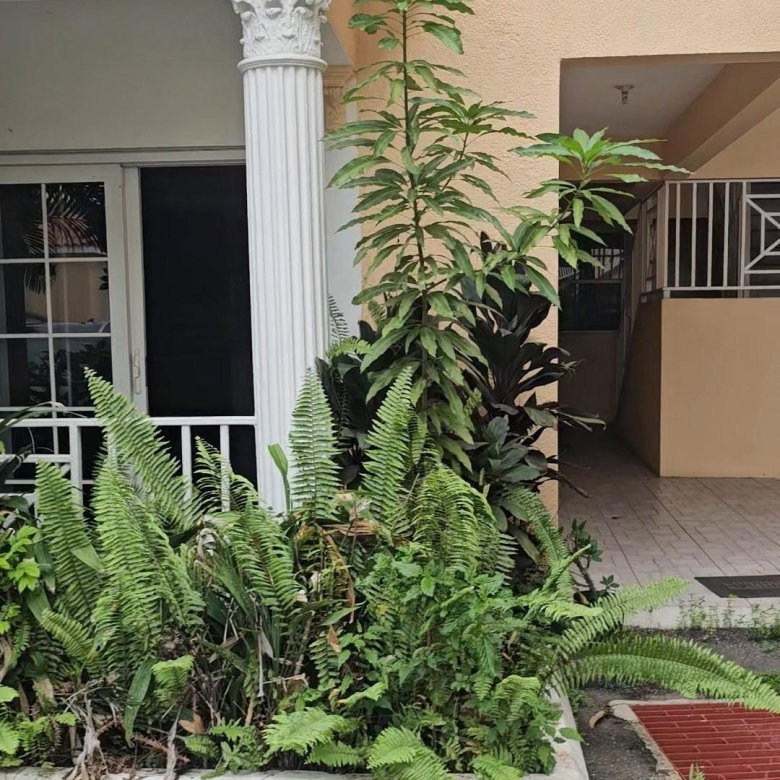 First image of 1-15 Sullivan Avenue in Kingston 8, St. Andrew, Jamaica - property is For Rent