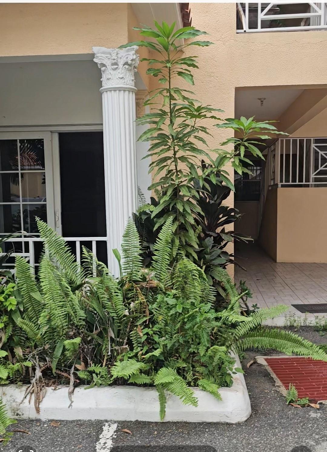 First image of 1-15 Sullivan Avenue in Kingston 8, St. Andrew, Jamaica - property is For Rent