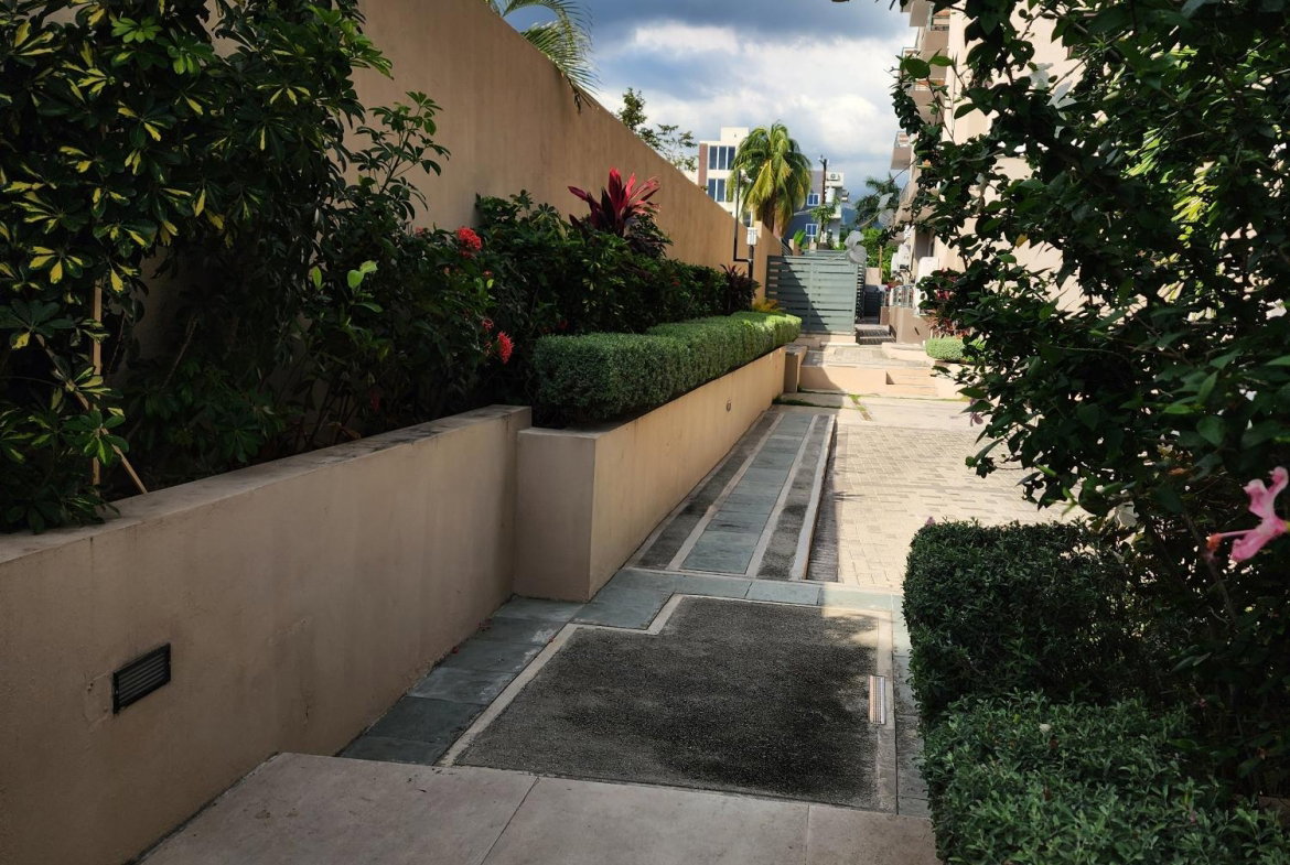 Sixth image of 26-41 Paddington Terrace in Kingston 6, St. Andrew, Jamaica - property is For Rent