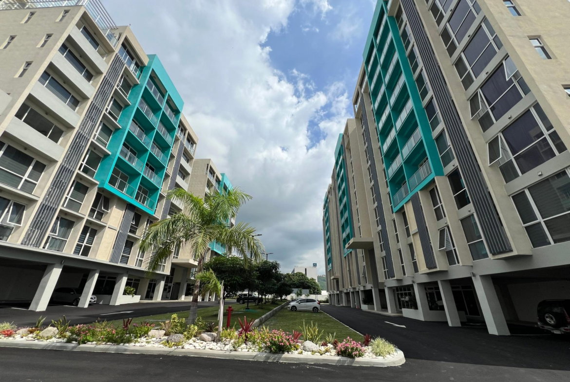 First image of B-307-4 Musgrave Avenue in Kingston 5, St. Andrew, Jamaica - property is For Rent