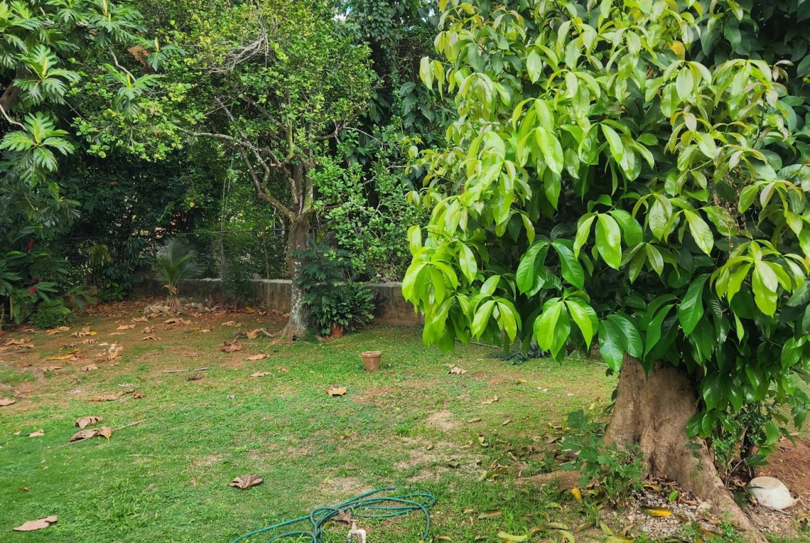 First image of 4 Wright Terrace in Kingston 9, St. Andrew, Jamaica - property is For Rent