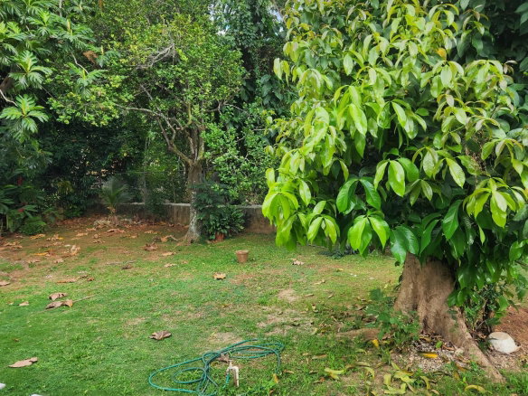 First image of 4 Wright Terrace in Kingston 9, St. Andrew, Jamaica - property is For Rent