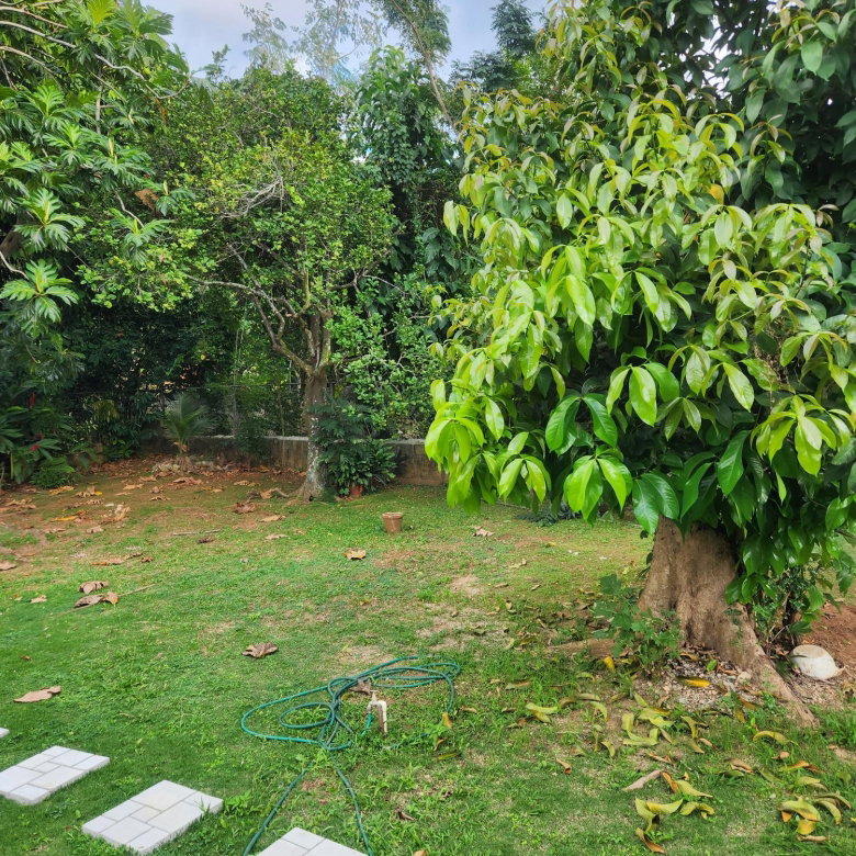 First image of 4 Wright Terrace in Kingston 9, St. Andrew, Jamaica - property is For Rent