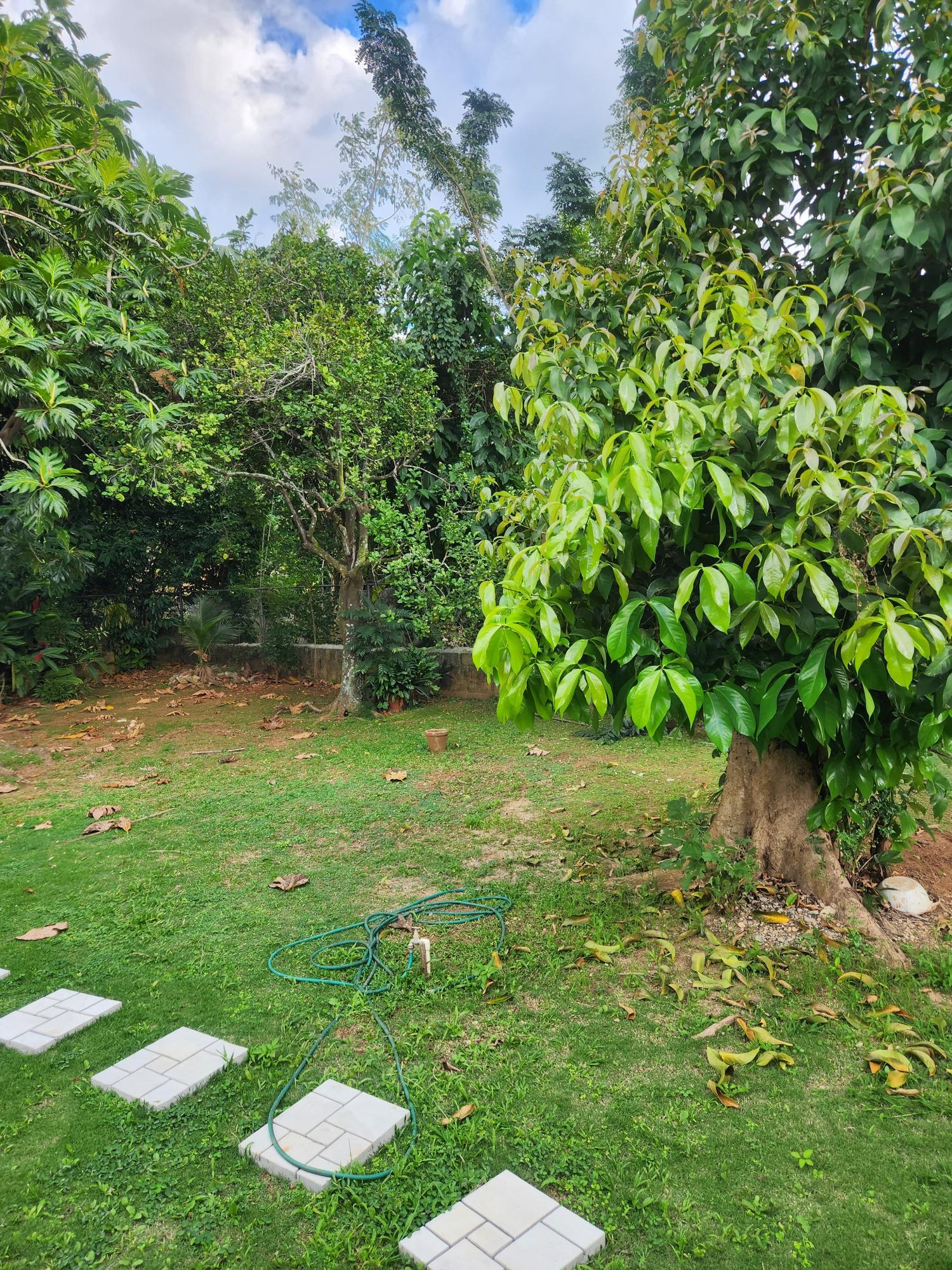 Modern-2-Bedroom-House-for-Rent-in-St.-Andrew-Jamaica-4-Wright-Terrace First image of 4 Wright Terrace in Kingston 9, St. Andrew, Jamaica - property is For Rent