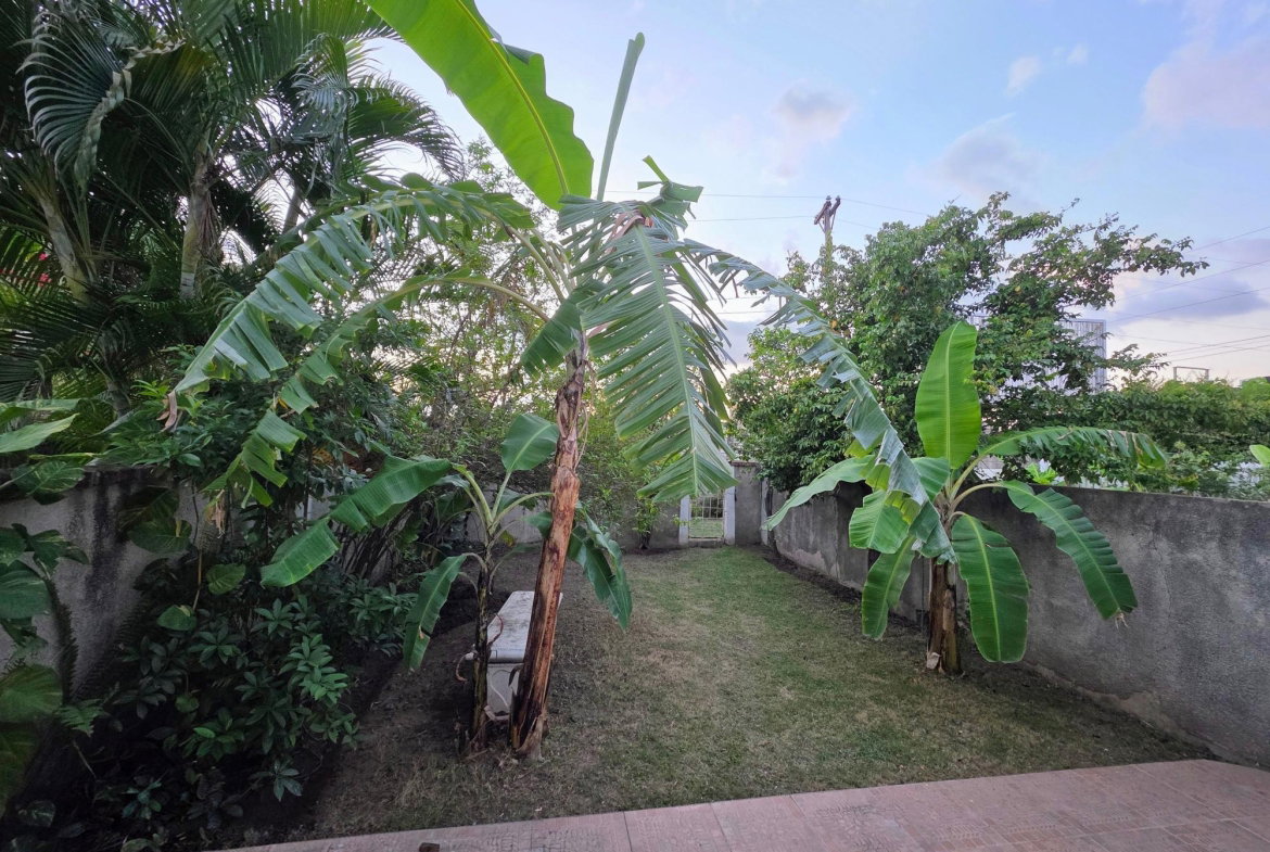 Fifth image of 2-107 Hope Road, Kingston 6 in Kingston 6, St. Andrew, Jamaica - property is For Rent