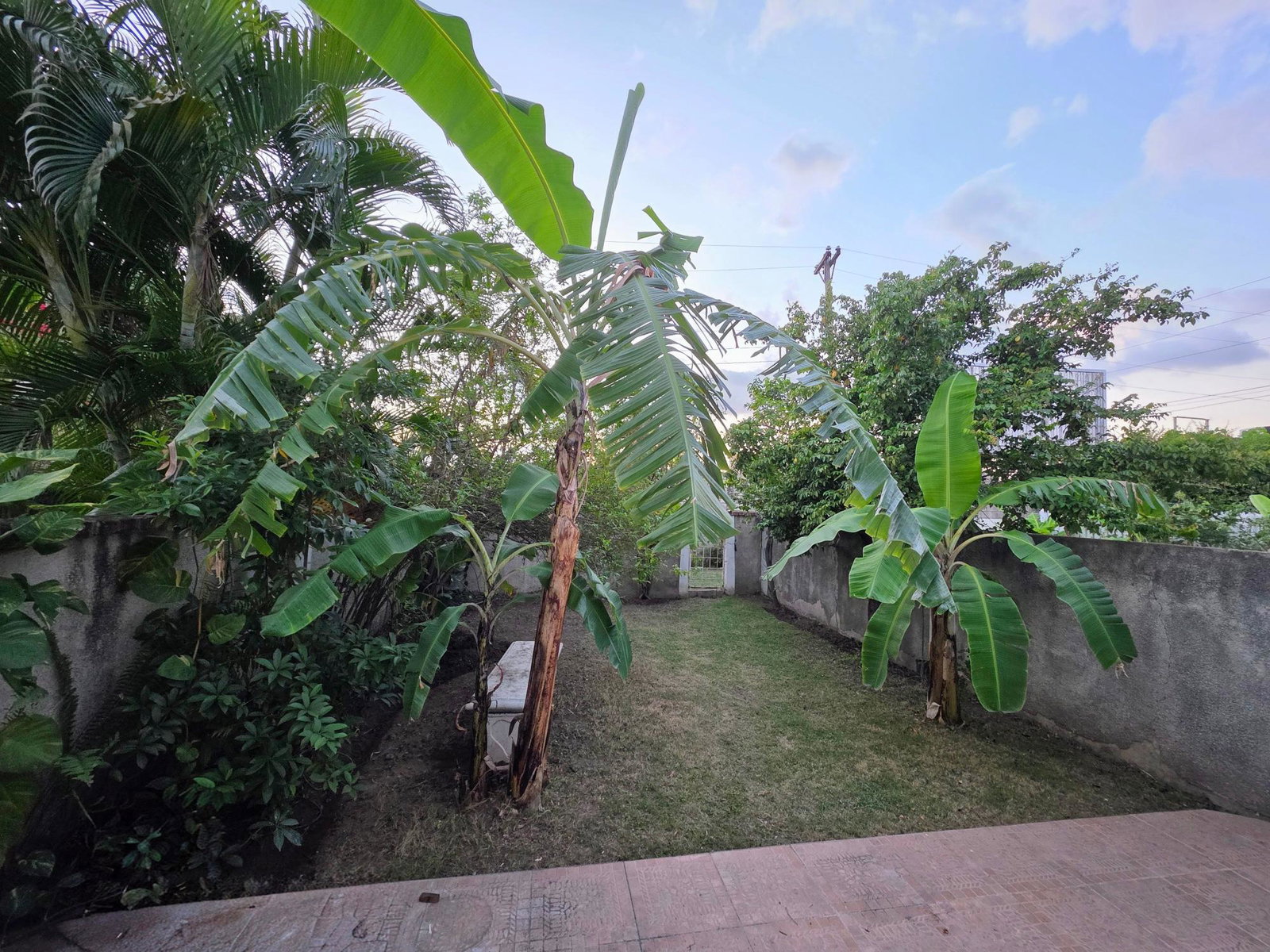 Fifth image of 2-107 Hope Road, Kingston 6 in Kingston 6, St. Andrew, Jamaica - property is For Rent