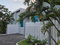 First image of 2-107 Hope Road, Kingston 6 in Kingston 6, St. Andrew, Jamaica - property is For Rent
