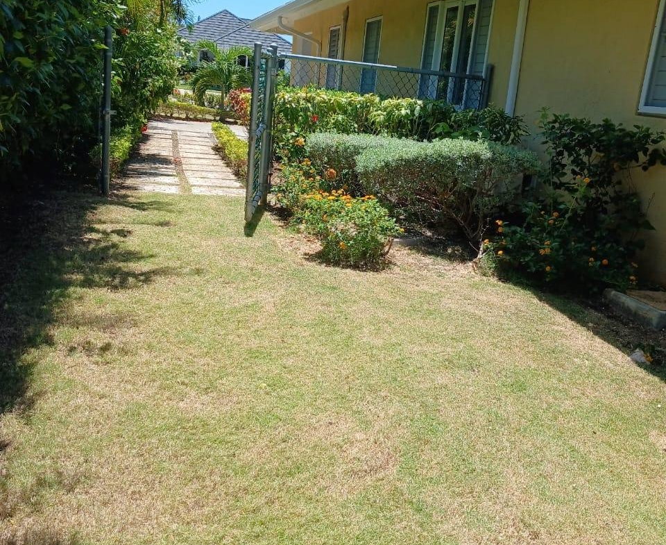 Eighteenth image of 780- The Crest, Richmond in Richmond, St. Ann, Jamaica - property is For Rent