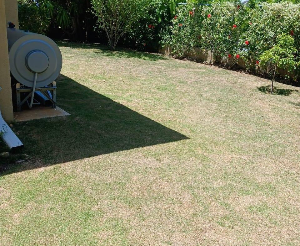 Nineteenth image of 780- The Crest, Richmond in Richmond, St. Ann, Jamaica - property is For Rent