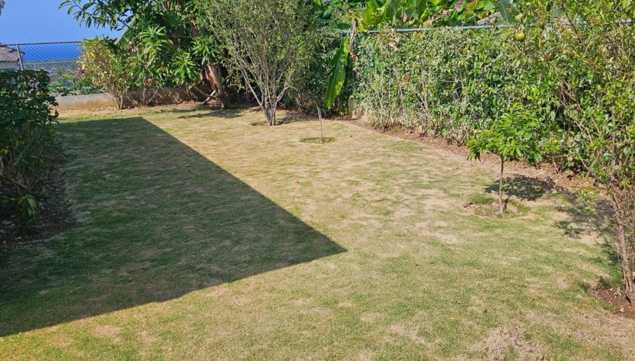 Twentieth image of 780- The Crest, Richmond in Richmond, St. Ann, Jamaica - property is For Rent