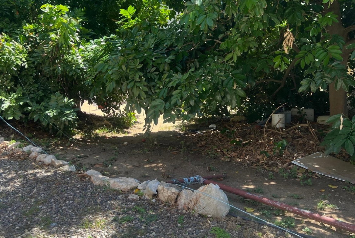 Sixth image of F54 Grenada in Caribbean Estates, St. Catherine, Jamaica - property is For Rent