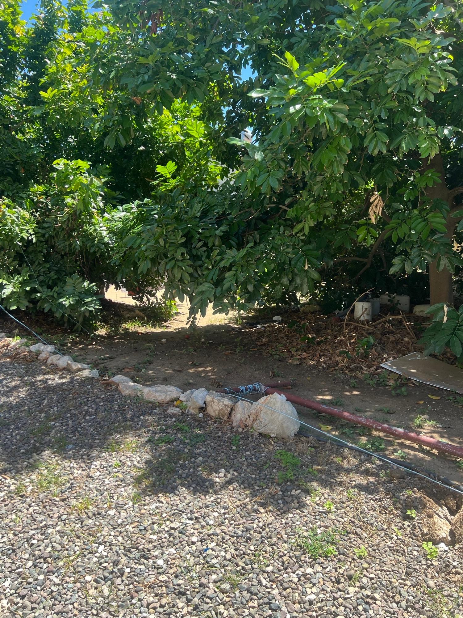 Sixth image of F54 Grenada in Caribbean Estates, St. Catherine, Jamaica - property is For Rent