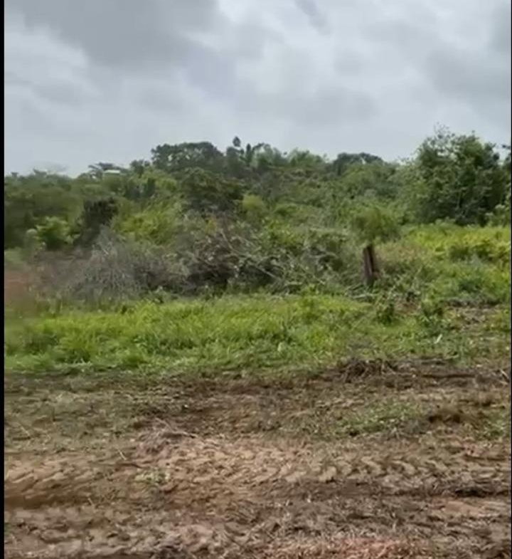 Second image of Lot 12- Green Island, Hanover in Green Island, Hanover, Jamaica - property is For Sale