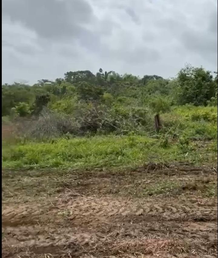 Second image of Lot 12- Green Island, Hanover in Green Island, Hanover, Jamaica - property is For Sale