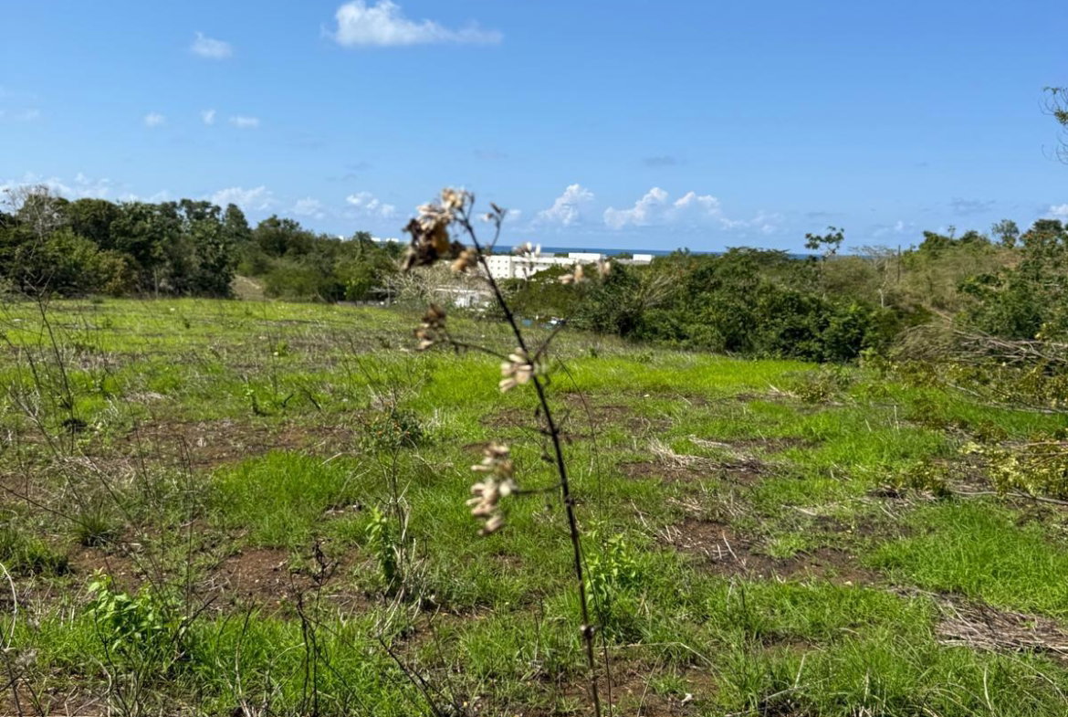 First image of Lot 12- Green Island, Hanover in Green Island, Hanover, Jamaica - property is For Sale