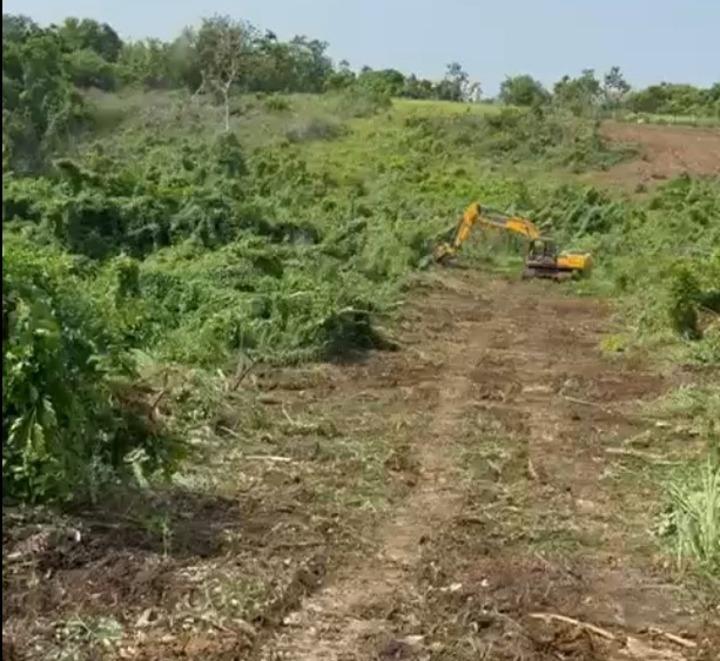 Third image of Lot 12- Green Island, Hanover in Green Island, Hanover, Jamaica - property is For Sale
