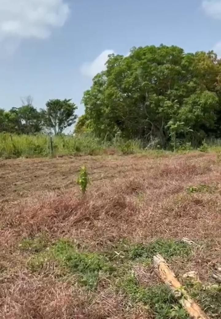 Fourth image of Lot 12- Green Island, Hanover in Green Island, Hanover, Jamaica - property is For Sale