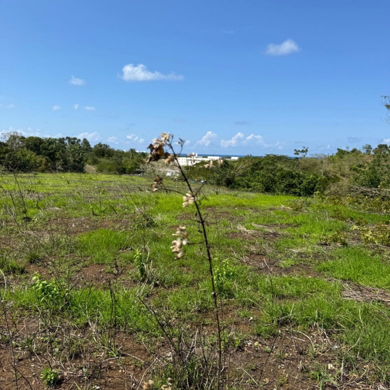 First image of Lot 12- Green Island, Hanover in Green Island, Hanover, Jamaica - property is For Sale