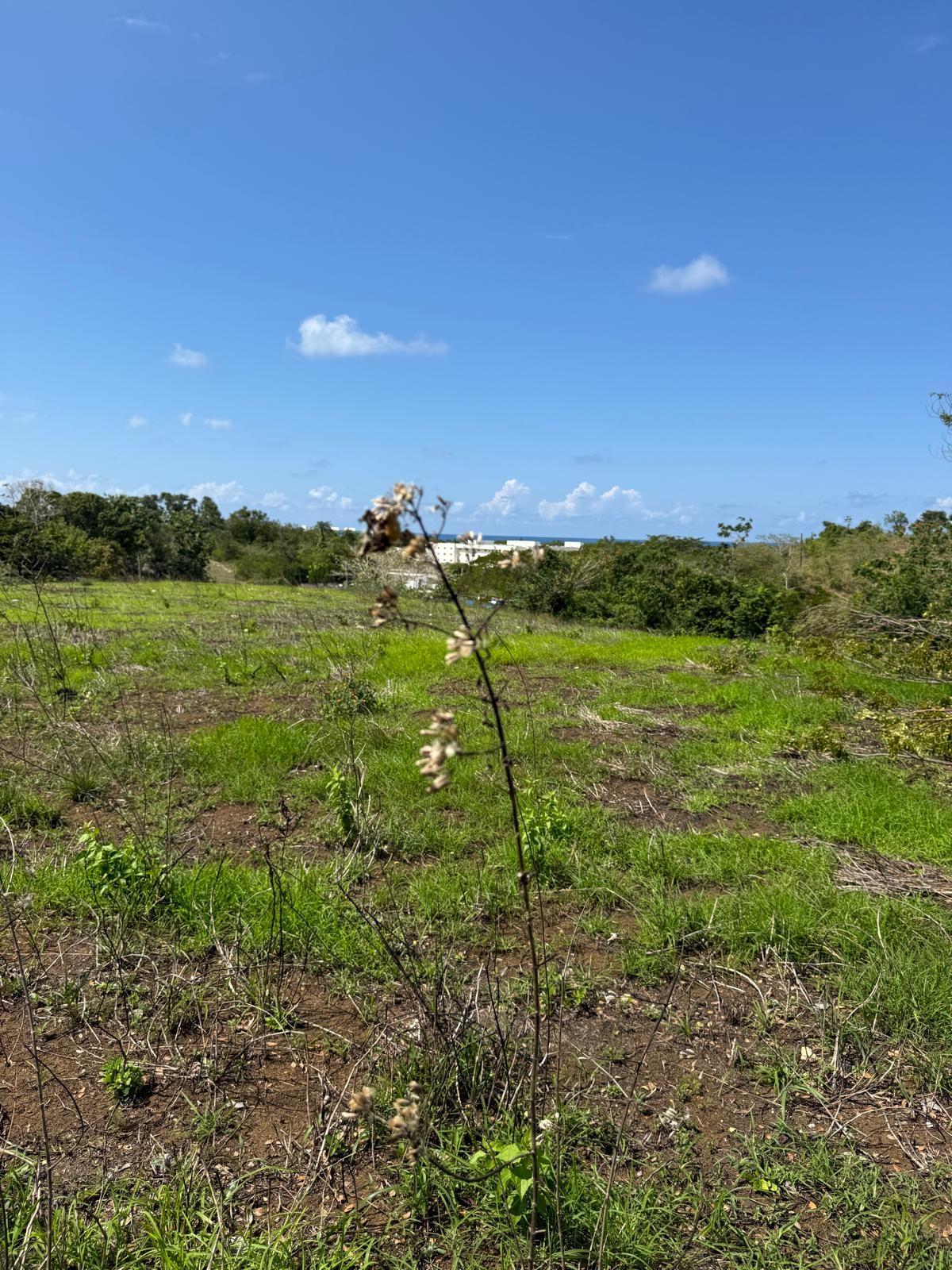 First image of Lot 12- Green Island, Hanover in Green Island, Hanover, Jamaica - property is For Sale