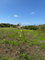 First image of Lot 12- Green Island, Hanover in Green Island, Hanover, Jamaica - property is For Sale