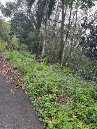 Fourth image of Lot 33-lot 33 Shoucair Circle in Kingston 19, St. Andrew, Jamaica - property is For Sale