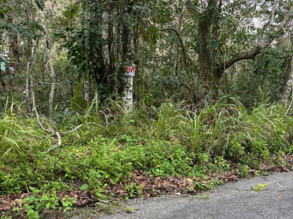 First image of Lot 33-lot 33 Shoucair Circle in Kingston 19, St. Andrew, Jamaica - property is For Sale