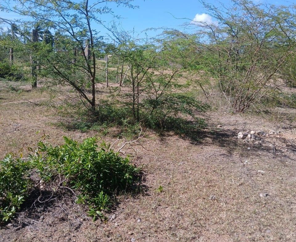 Fourth image of Hayes Savannah, Clarendon in Hayes Savanna, Clarendon, Jamaica - property is For Sale