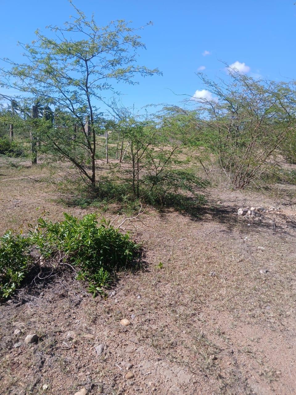 Residential-Development-Lot-for-Sale-in-Hayes-Clarendon-Jamaica Fourth image of Hayes Savannah, Clarendon in Hayes Savanna, Clarendon, Jamaica - property is For Sale