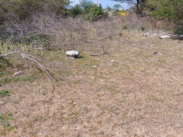 First image of Hayes Savannah, Clarendon in Hayes Savanna, Clarendon, Jamaica - property is For Sale