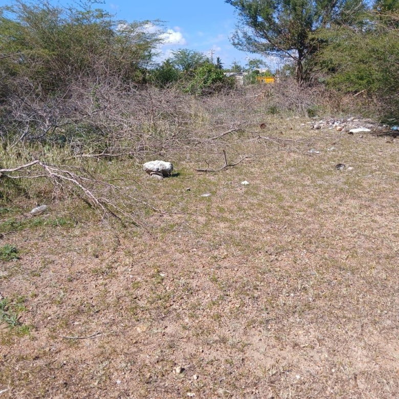 First image of Hayes Savannah, Clarendon in Hayes Savanna, Clarendon, Jamaica - property is For Sale