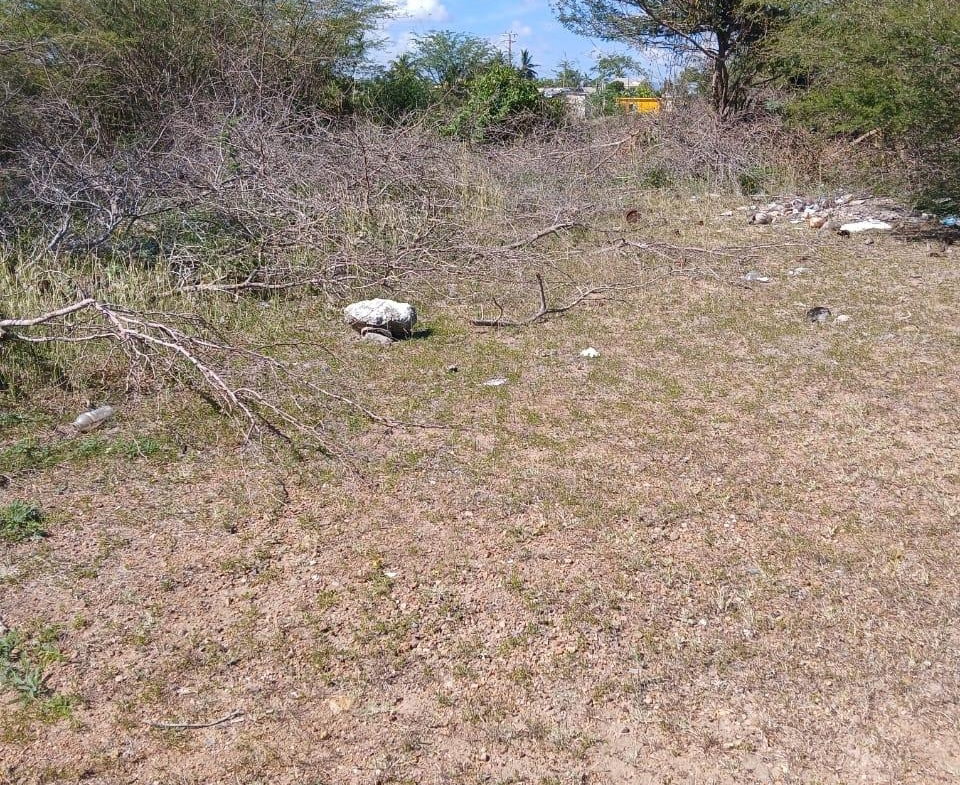 First image of Hayes Savannah, Clarendon in Hayes Savanna, Clarendon, Jamaica - property is For Sale