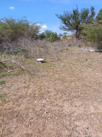 First image of Hayes Savannah, Clarendon in Hayes Savanna, Clarendon, Jamaica - property is For Sale