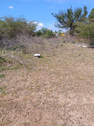 First image of Hayes Savannah, Clarendon in Hayes Savanna, Clarendon, Jamaica - property is For Sale