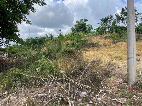 Second image of 4 Griffiths Close Heartease in Mandeville, Manchester, Jamaica - property is For Sale
