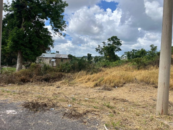 First image of 4 Griffiths Close Heartease in Mandeville, Manchester, Jamaica - property is For Sale