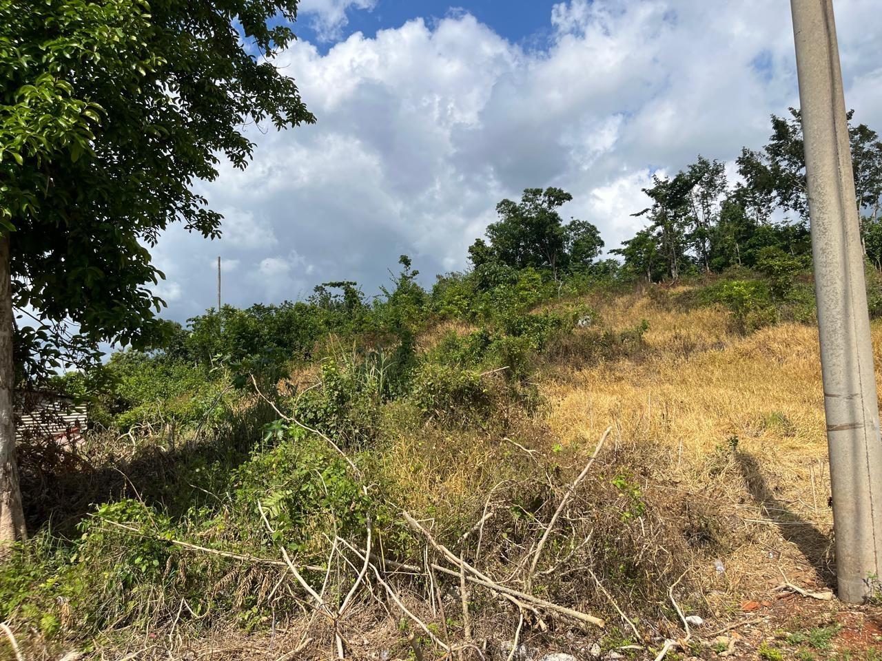 Seventh image of 4 Griffiths Close Heartease in Mandeville, Manchester, Jamaica - property is For Sale