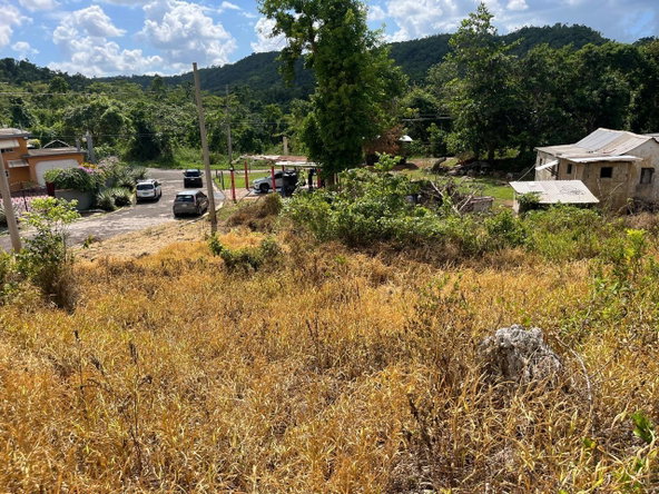 Eighth image of 4 Griffiths Close Heartease in Mandeville, Manchester, Jamaica - property is For Sale
