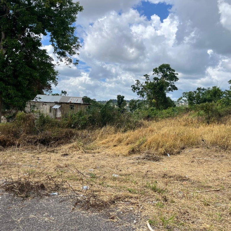 First image of 4 Griffiths Close Heartease in Mandeville, Manchester, Jamaica - property is For Sale