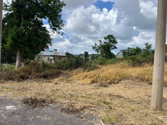 First image of 4 Griffiths Close Heartease in Mandeville, Manchester, Jamaica - property is For Sale