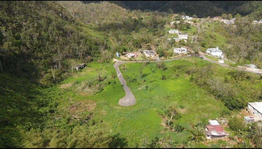 Second image of Lot 4- Belfield in Bellefield, Manchester, Jamaica - property is For Sale