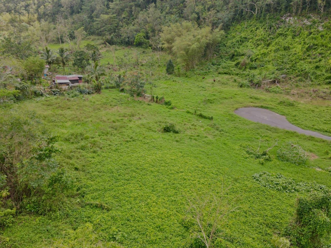 Third image of Lot 4- Belfield in Bellefield, Manchester, Jamaica - property is For Sale