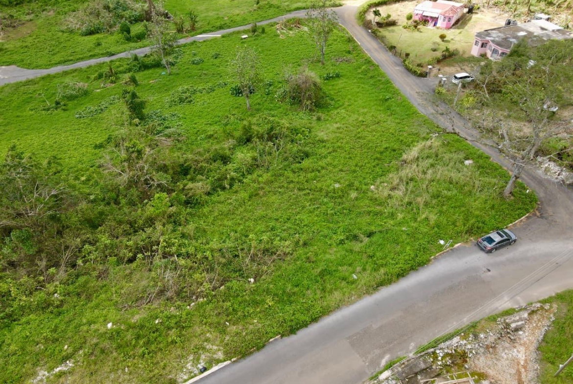 Fourth image of Lot 4- Belfield in Bellefield, Manchester, Jamaica - property is For Sale